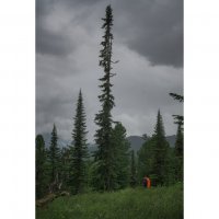 * :: Александр Иванов