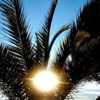 Красиво :: Натали 