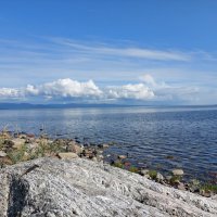 берег белого моря :: Артём 