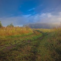 Летнее утро :: Sergei Vikulov