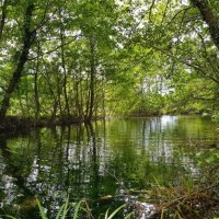 Горная речка :: Tata Wolf