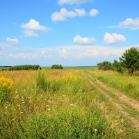 Летний день. :: Михаил Колосов 