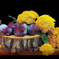 ..Август...сливы..и цветы :: TAMARA КАДАНОВА