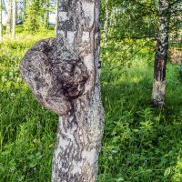 Опухоль :: Андрей Щетинин