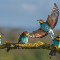 Мест нет! :: Александр К. Мест нет! :: Александр К.
