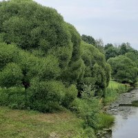 Царское Село. Баболовский парк :: Наталья Герасимова