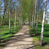 Скальный парк Монрепо в Выборге. :: Ольга Довженко Скальный парк Монрепо в Выборге. :: Ольга Довженко
