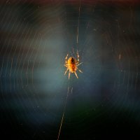 *** :: Виктор Иванович Чернюк *** :: Виктор Иванович Чернюк