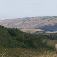 Talgar. :: Murat Bukaev Talgar. :: Murat Bukaev