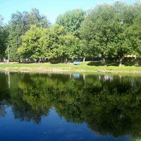 Летом на озере :: Елена Семигина Летом на озере :: Елена Семигина