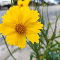 ,,, :: Сергей Тимоновский