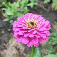 ,,, :: Сергей Тимоновский ,,, :: Сергей Тимоновский