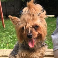 Привет! :: Владимир Павлов