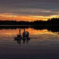 Закат... :: Виктор Желенговский