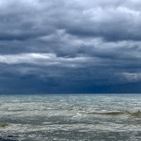 Надвигается гроза :: Pippa 