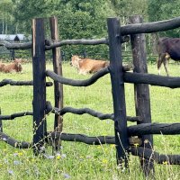 «По проселочной дороге шла я молча…» (c) :: Арина Невская
