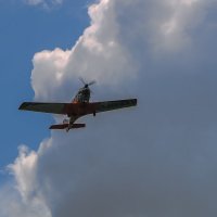 *** :: Waldemar F. *** :: Waldemar F.