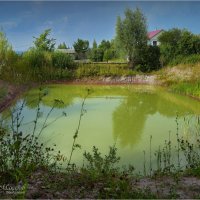 "Жаркий август у водоема"© :: Владимир Макаров