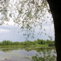 Орловский парк :: Наталья Герасимова