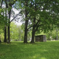 Орловский парк :: Наталья Герасимова