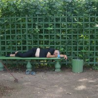 сон на свежем воздухе :: zavitok *