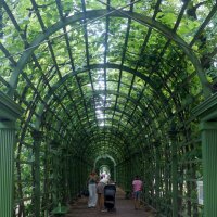 берсо :: zavitok *