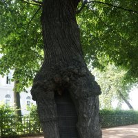 рана :: zavitok *