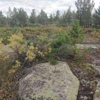 Август в горах Керей :: Андрей Хлопонин