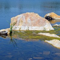 Прибрежные камни :: Сергей М 