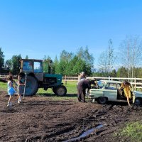 Колхоз. :: Ольга 