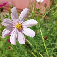 ,,, :: Сергей Тимоновский