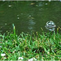 ТАКАЯ ПОГОДА!... :: Elvira E. 