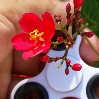 112 (142) :: СТРЕН 