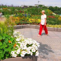 МОСКОВСКАЯ ПЛОЩАДЬ :: Виктор Никитенко МОСКОВСКАЯ ПЛОЩАДЬ :: Виктор Никитенко