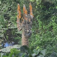 Дракон :: Мария Гуськова