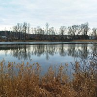 *** :: Марина Виноградова