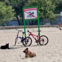 Надёжная охрана! :: Надежда 