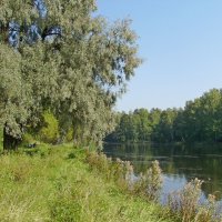 Лето. :: VasiLina *