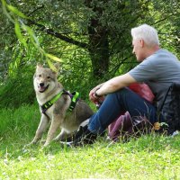 Отдых в парке :: Лидия Бусурина