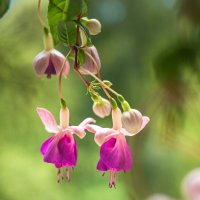 3898 :: Alex . 3898 :: Alex .