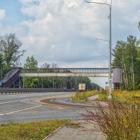 Пешеходный переход :: Сергей Цветков