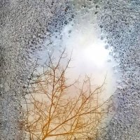 Лужа на асфальте. Отражение. :: Любимова Ольга 