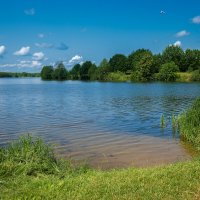 Лето на озере :: Александр Синдерёв