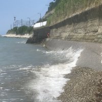 Набежавшая волна :: Pippa 