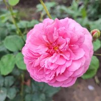 ,,, :: Сергей Тимоновский