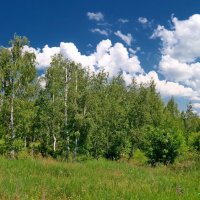 А лета уже осталось мало.... :: Андрей Заломленков