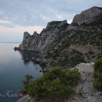 Природа Крыма :: Amazing Cosmea