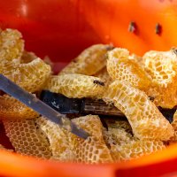 Мед :: Дмитрий Ряховский