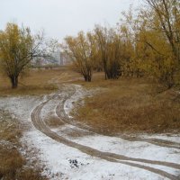 Первый снег :: Anna Ivanova