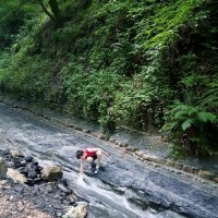 ГОРНАЯ РЕЧКА :: Tata Wolf